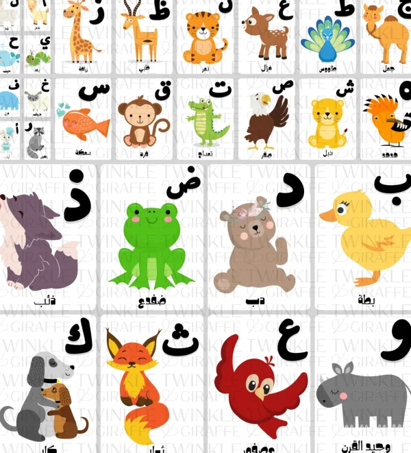 Twinkle u0026 Giraffe Arabic Alphabet Cards Discount