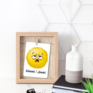 Twinkle u0026 Giraffe Arabic Emotions and Feelings Flashcards New