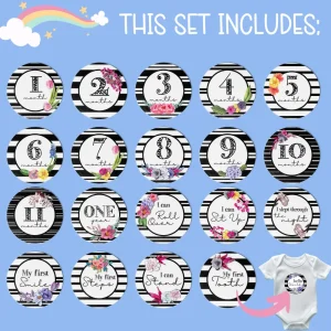 Twinkle u0026 Giraffe B&W Stripes and Flowers Milestone Stickers Fashion