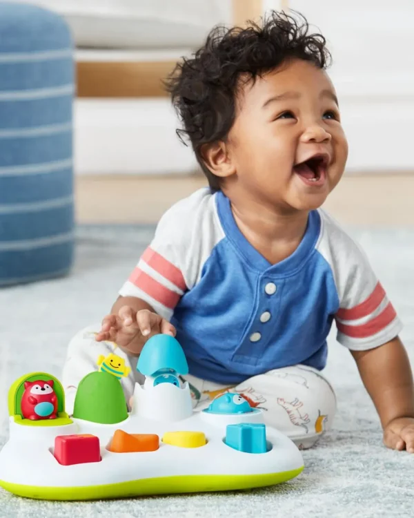 Skip Hop Explore & More Pop-Up Toy New