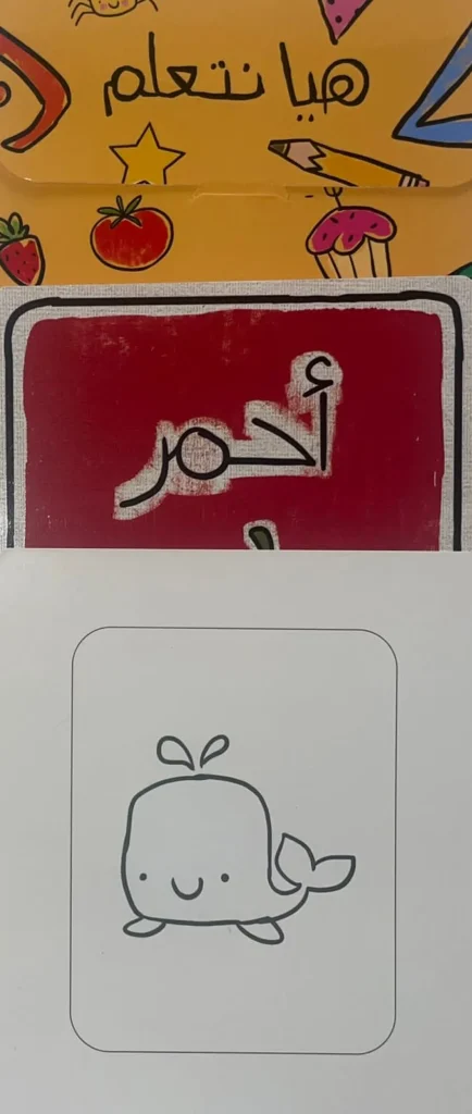 Hayaa Nata3lam Flash Cards - الالوان Outlet