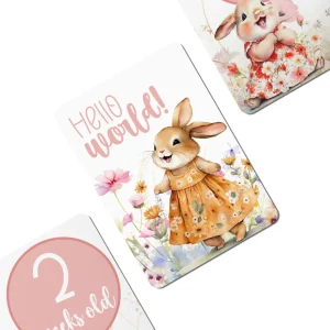 Twinkle u0026 Giraffe Happy Bunnies Baby Milestone Cards - Set of 30 New