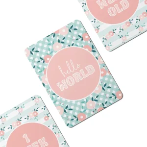 Twinkle u0026 Giraffe Pastel Flowers Baby Milestone Cards - Set of 25 Discount