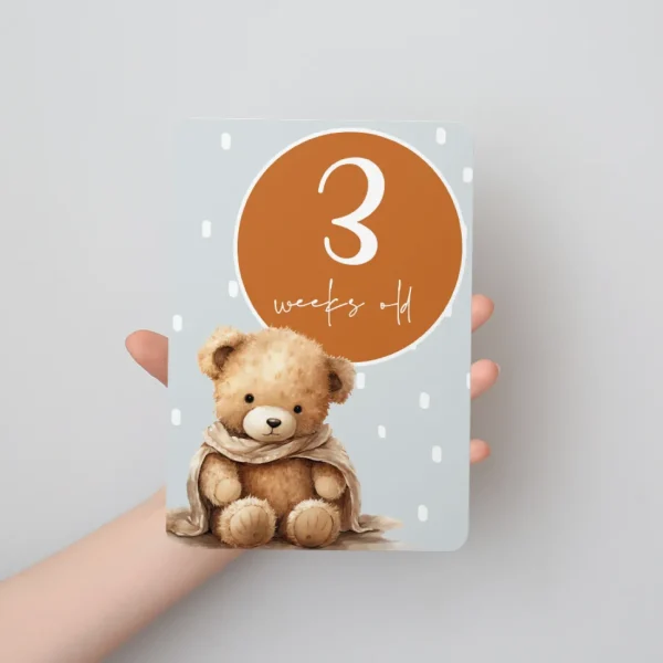 Twinkle u0026 Giraffe Teddy Bear Baby Milestone Cards - Set of 30 Clearance