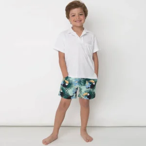 Shade Critters Trunks Toucans New