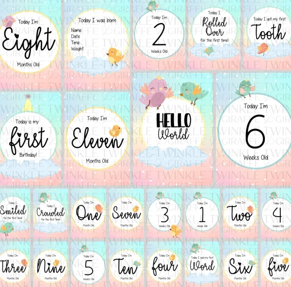 Twinkle u0026 Giraffe Twinkle Birds Baby Milestone Cards - Set of 25 Online