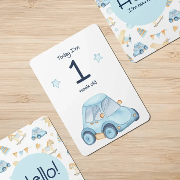 Twinkle u0026 Giraffe Twinkle Car Baby Milestone Cards - Set of 25 New