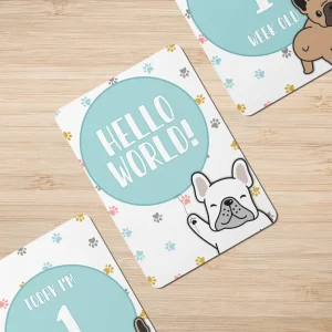 Twinkle u0026 Giraffe Twinkle Paws Baby Milestone Cards - Set of 25 Hot