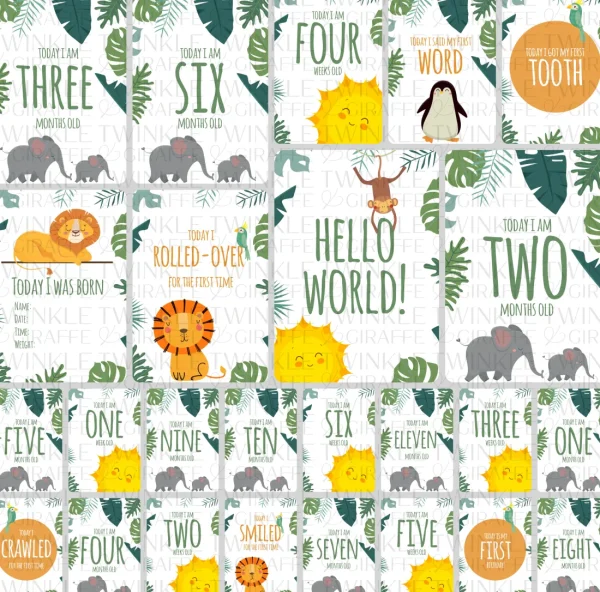 Twinkle u0026 Giraffe Twinkle Safari Baby Milestone Cards - Set of 25 Discount